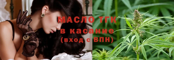стаф Богородск