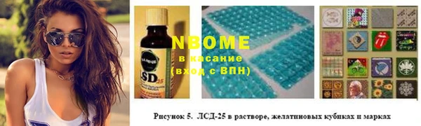 стаф Богородск