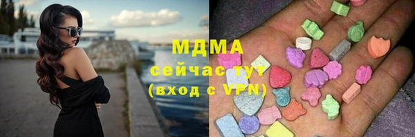 стаф Богородск