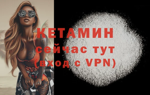 твердый Богданович