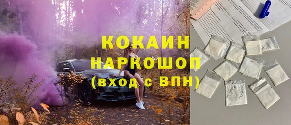 твердый Богданович