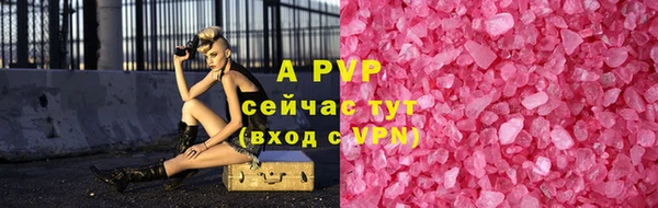твердый Богданович