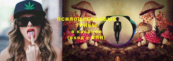 стаф Богородск