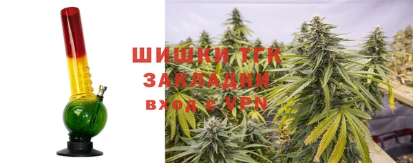 твердый Богданович