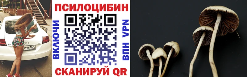 Псилоцибиновые грибы прущие грибы  Беломорск 